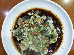 -全乐鱼馆·淳牌有机鱼直营店