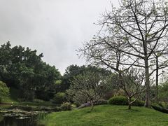 -云溪植物园