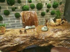 -清水湾足道馆