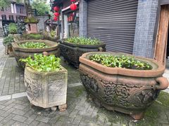 -安仁古镇