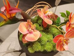 -禾院•新派融合淮扬菜餐厅