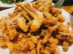 -碧瑶山庄
