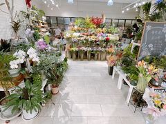 -T11生鲜超市(朝阳公园店)