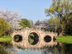 -上海共青森林公园