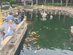 -灵福缘私房菜·农家菜(拈花湾·灵山大佛必推店)