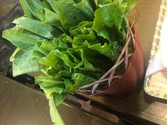 -土著渔匠·养生蝴蝶鱼(香樟路店)