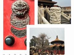 -故宫博物院(故宫)