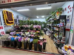 -鑫隆生活广场(阳光好东东店)