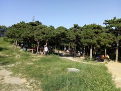 -北京西山国家森林公园