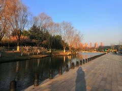 -白塘生态植物园