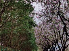 -南丰汇(新港东路店)