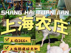 -上海山野camping·户外天幕烧烤·团建拓展营地