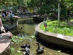 -荆州中山公园动物园