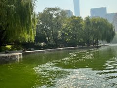 -团结湖公园