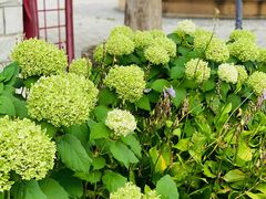 -意大利农场度假村