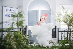 -THE QUEEN(北京店)