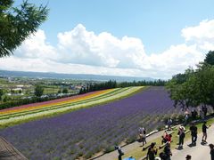 -富田农场