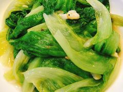 生菜-东江海鲜大排档·潮汕菜·砂锅粥