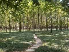 -河南省黄河迎宾馆