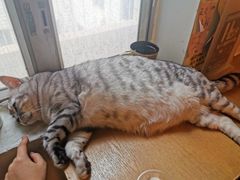 -H立方实景剧情密室(天河旗舰店)