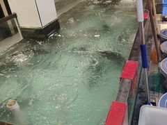 -鱼痴渔醉·食鲜集(月亮湾店)