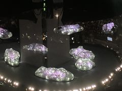 -华熙生物·润百颜ECM中心