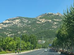 -小罐茶(济南恒隆广场店)