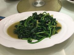 -嘉豪淮海国际豪生酒店