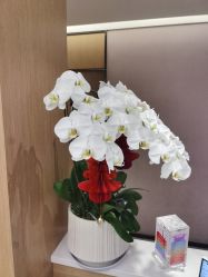 点击看大图 -Yestar杭州艺星医疗美容医院