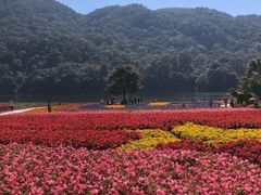 -广州市石门国家森林公园