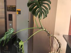 -涿派·炝锅鱼(涿州店)
