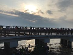 -宝安西湾红树林湿地公园