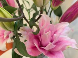 -FUMEIHUI·科技美肤·美体SPA