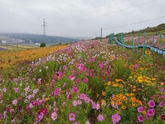 -草原天路(张北县)
