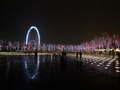 -南京眼步行桥