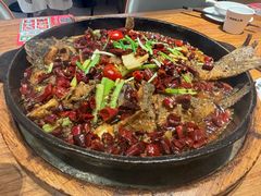 -老板恋上鱼(恒隆广场店)