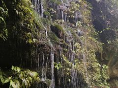 -碧峰峡风景区