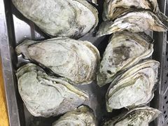 -蚝专家(北滘店)