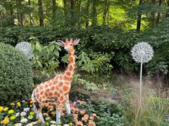 -上海共青森林公园