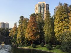 -晓港公园