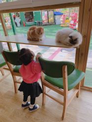 -萌宠亲子动物乐园(槐房万达店)