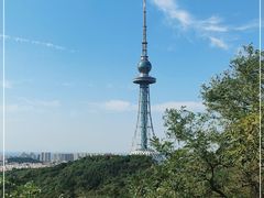 -青岛电视塔