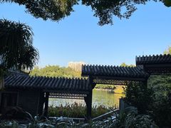 -荔湾湖公园