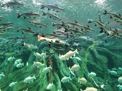 -波塞冬旅游度假区