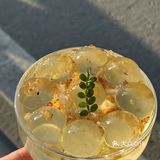 在苏州，这家火锅店真的没有对手！！！
