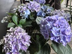 -洈水谣 · 地道荆州松滋菜(菱角湖公园店)