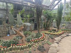 -南山植物园
