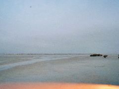 -北海金海湾红树林生态旅游区