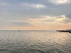 -莲花岛景区