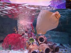 -沈阳海洋探索中心